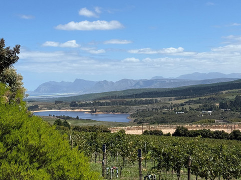 Newton Johnson Family Vineyards-赫曼努斯必去景点