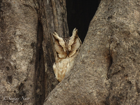 Traveller Realm-Chandrapur必去景点