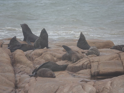 Senderos Tours-La Paloma必去景点