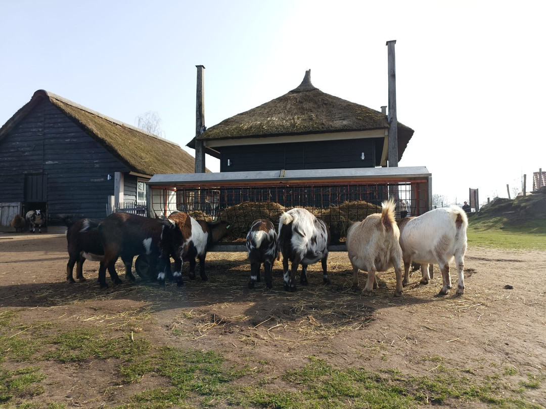 Center Parcs De Huttenheugte主图