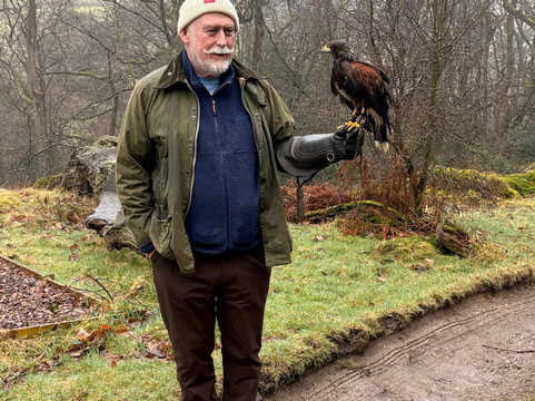 Lake District Falconry-温德米尔必去景点