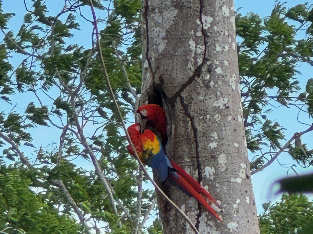 Pura Vida Gardens and Waterfalls-哈科必去景点