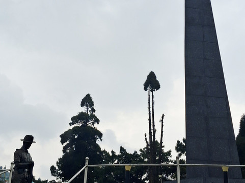 Batasia Loop-大吉岭必去景点