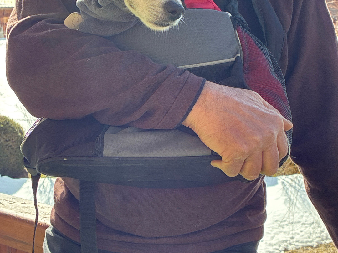 Espace Diamant-Praz Sur Arly必去景点