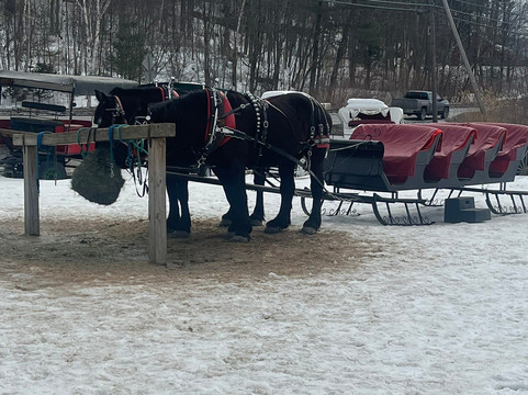 Gentle Giants Sleigh and Carriage Rides-斯托必去景点