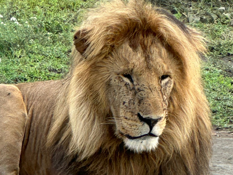 Safaris-R-Us-阿鲁沙必去景点