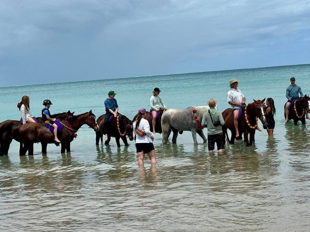 Being with Horses-Buccoo必去景点
