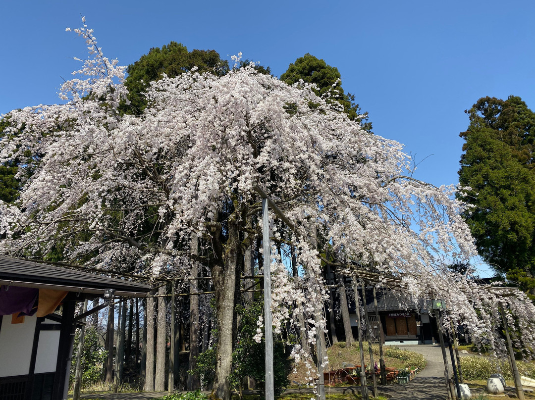 Yunokuni no Mori-小松市必去景点