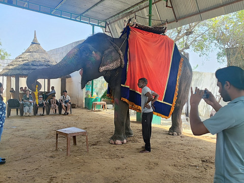 EleJungle-Amer必去景点