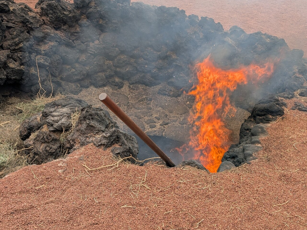 Islote de Hilario-Tinajo必去景点