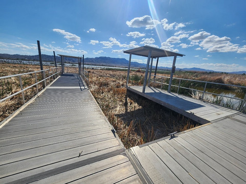 Havasu National Wildlife Refuge-尼德尔斯必去景点