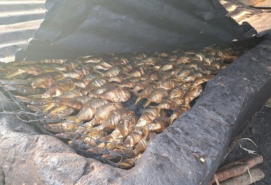 Tanji Fishing Village-Tanji必去景点