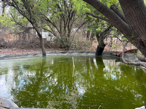 Rancho San Josemaría-克雷塔罗必去景点