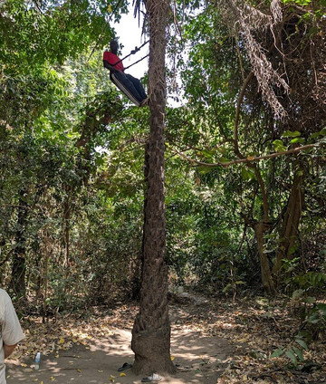 Makasutu Culture Forest-塞瑞库达必去景点