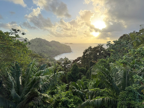 天空和蜂蜜主图