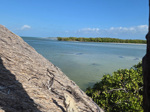 My Holbox Tours-Holbox必去景点