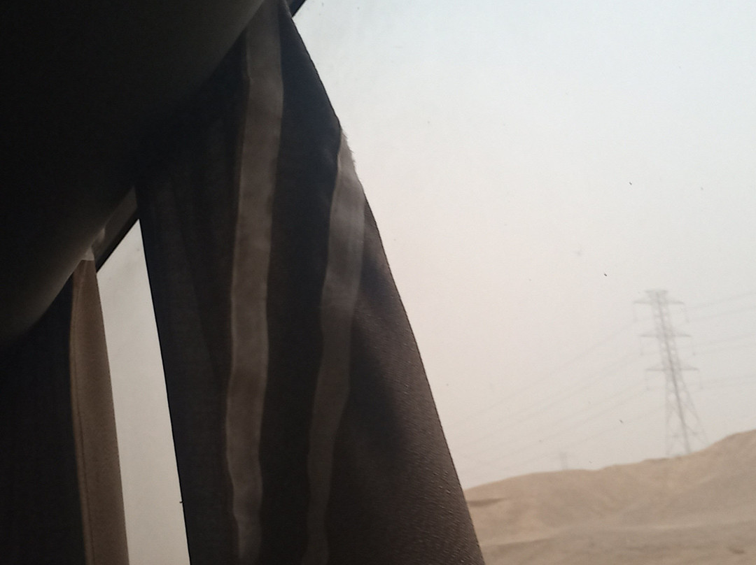 Blue Bus Egypt-New Cairo City必去景点