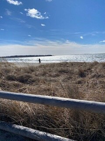 Pine Point Beach-斯卡伯勒必去景点