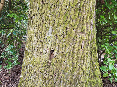 Marwell Zoo-温彻斯特必去景点