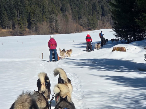 Fischer Adventures Day Tours-圣加仑必去景点