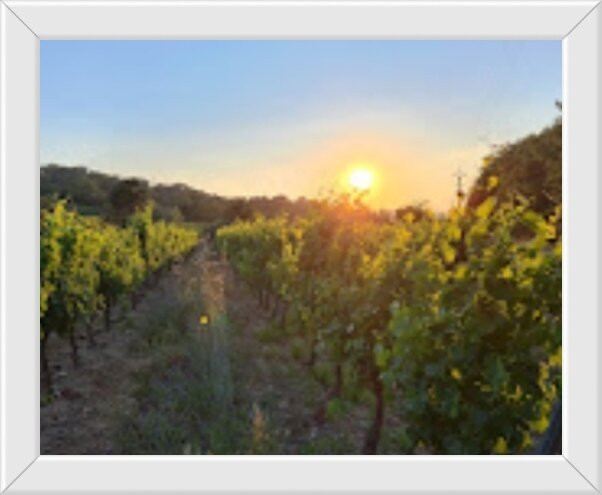 Domaine La Rouillère-Gassin必去景点