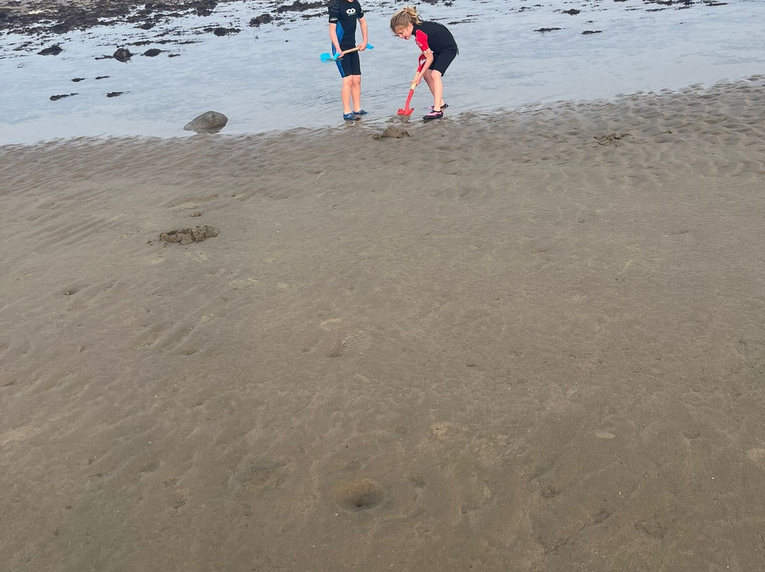 Y Glan Neigr (B&B)主图