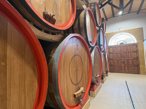 Marco de Bartoli-马尔萨拉必去景点