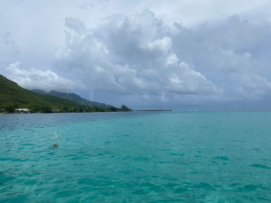 Moorea Seafari Cruises-Paopao必去景点