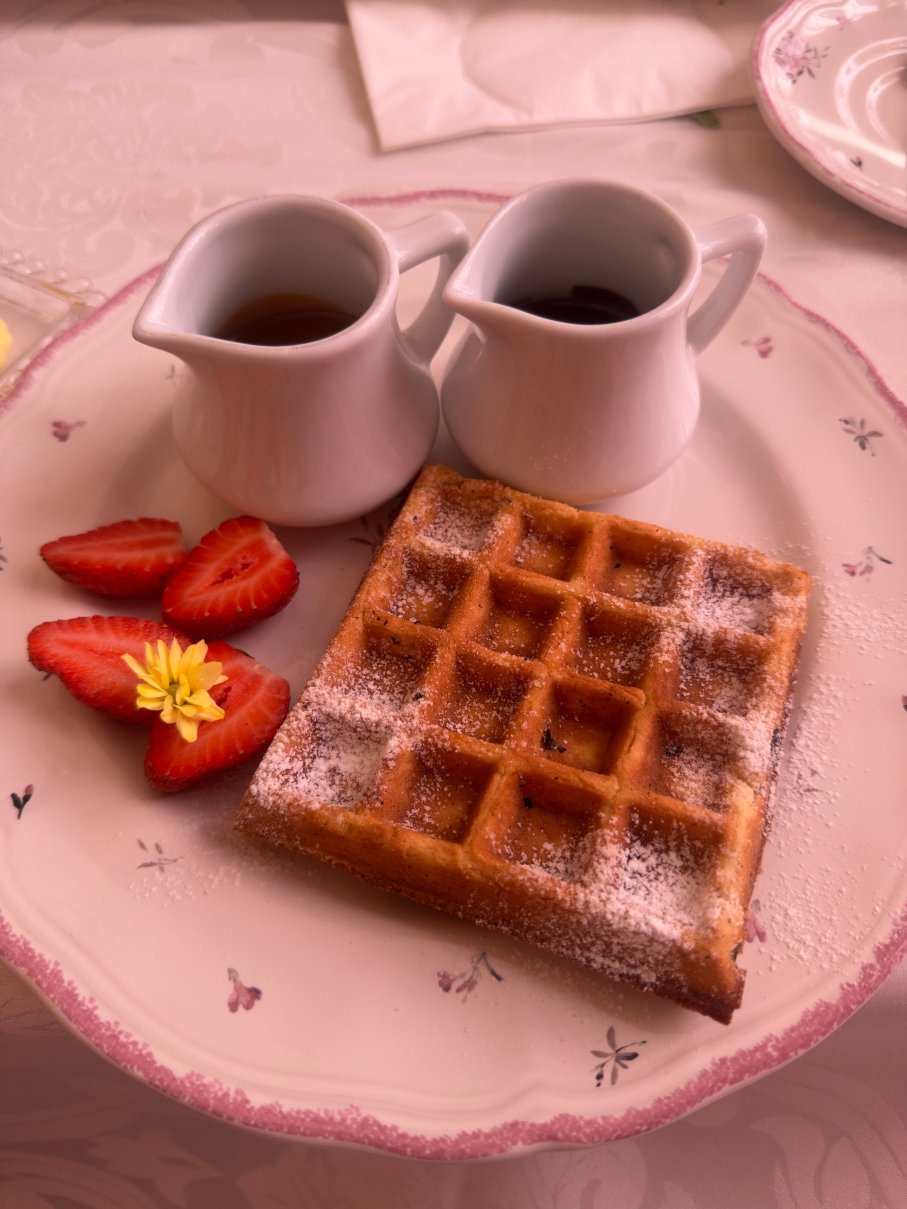 法国山丘酒店-官方