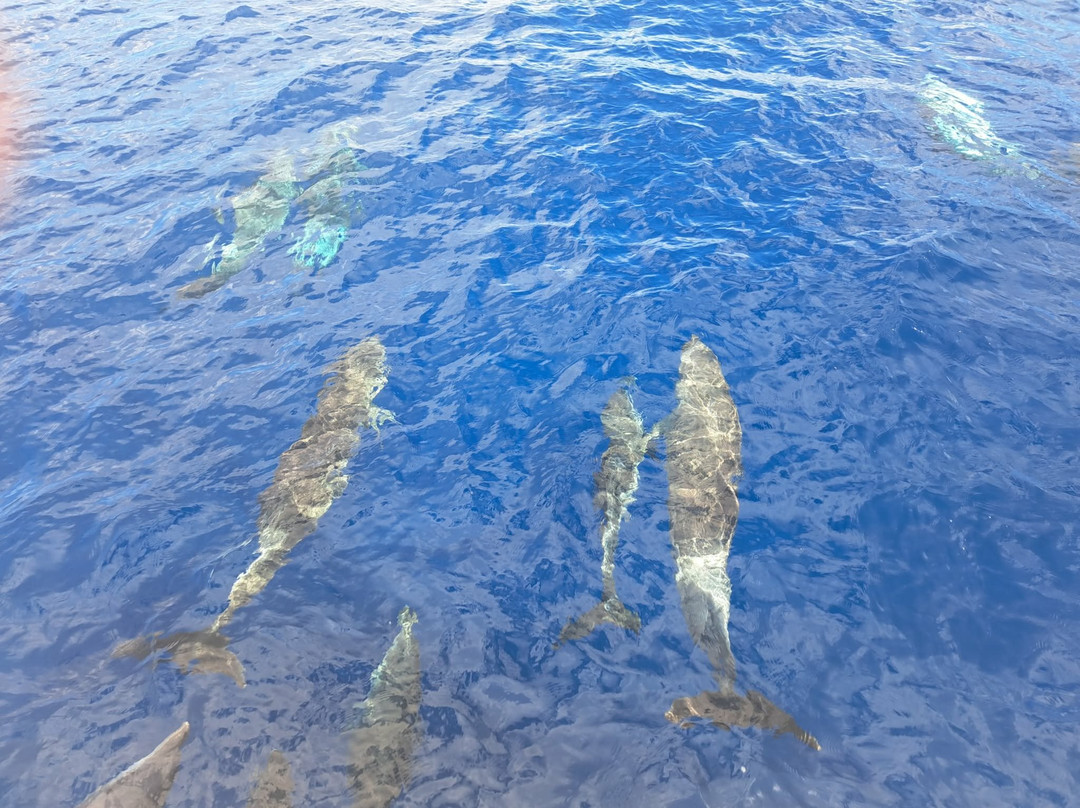 Catlante Catamarans-布洛涅-比扬古必去景点