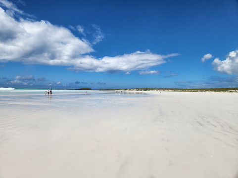 Cruise In Galapagos-阿约拉港必去景点