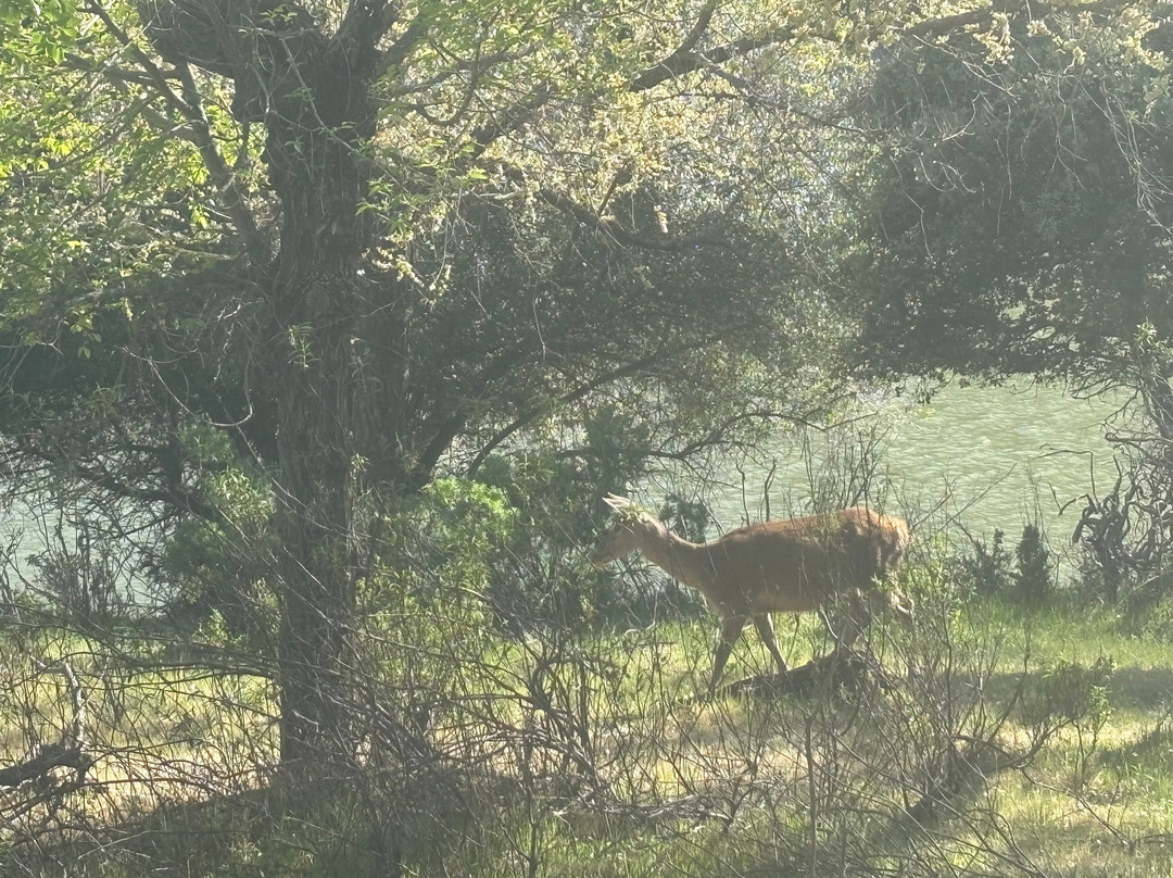 Monfrague Natural Ecoturismo-Malpartida de Plasencia必去景点
