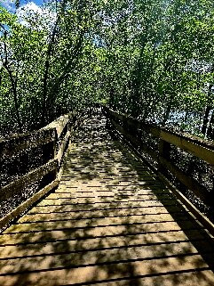 Hart Springs-Bell必去景点