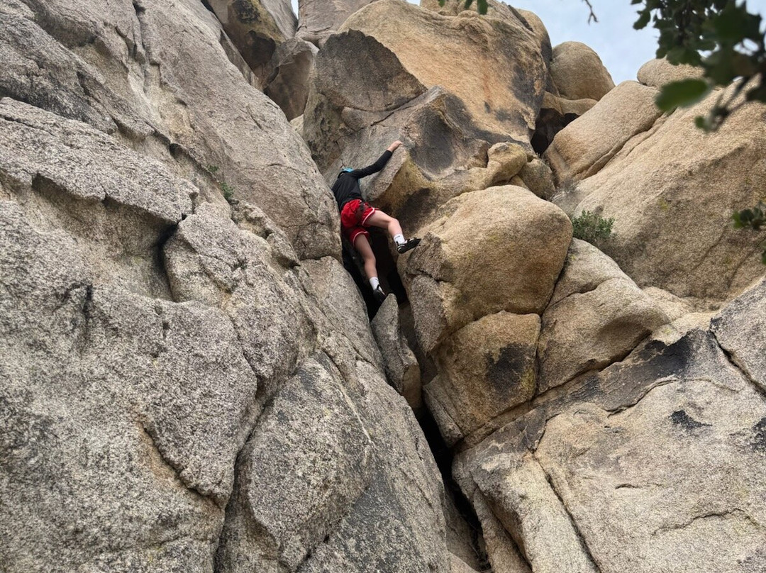 Cliffhanger Guides-约书亚树必去景点