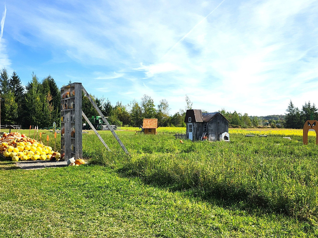 Ferme Roberge & Gosselin-Saint-Pierre-de-l'lle-d'Orleans必去景点