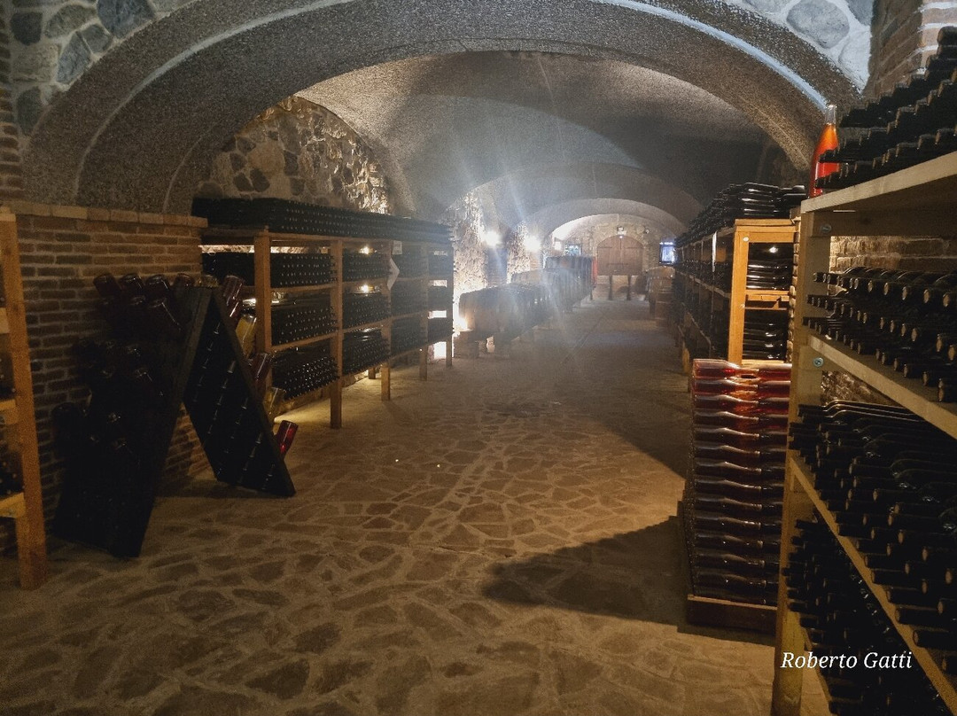 Cantina Il Poggio-萨尔索马焦雷泰尔梅必去景点