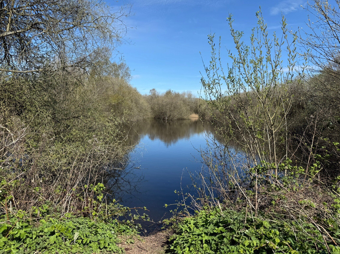 Idle Valley Nature Reserve-Retford必去景点