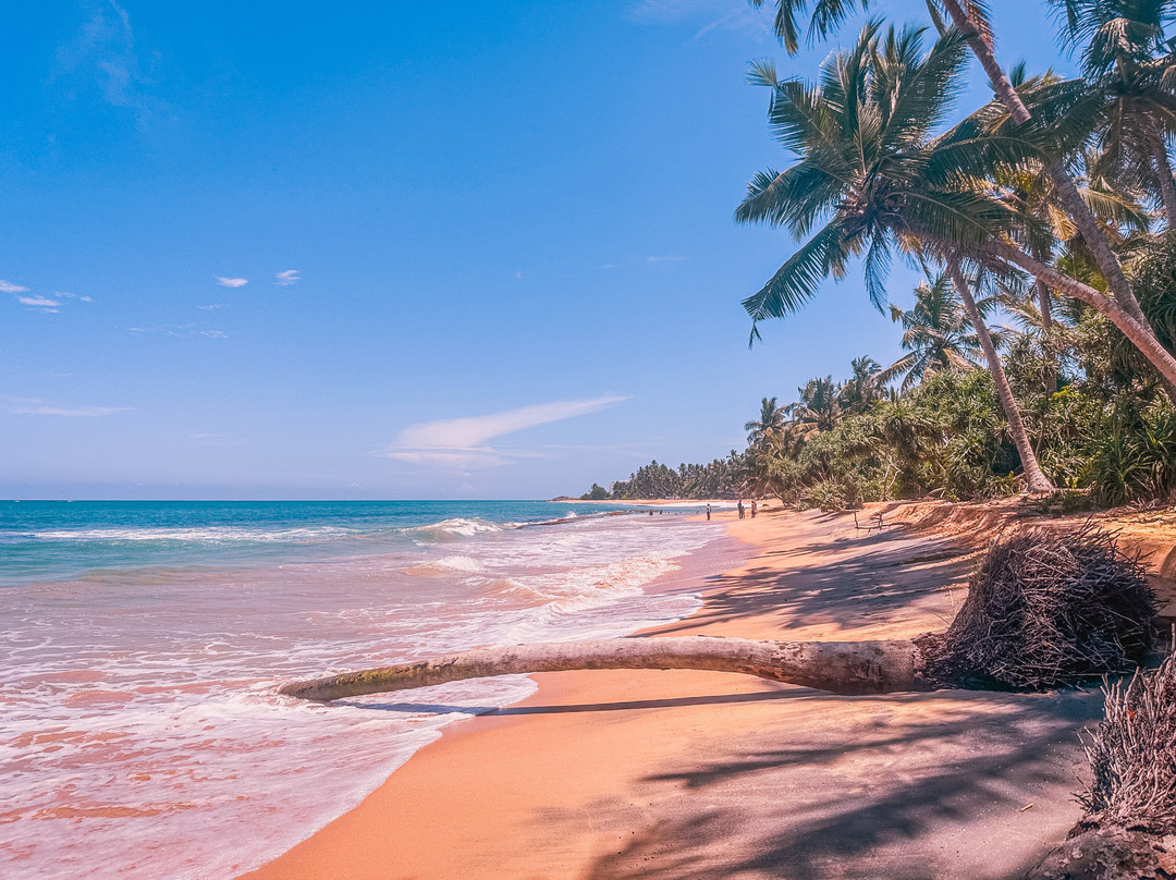 H.O.T Tourism-科伦坡必去景点