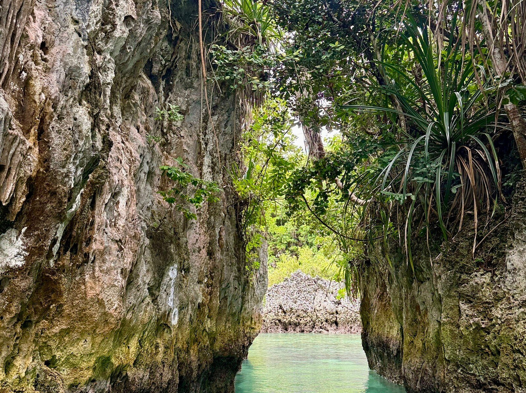 Bair Island-Tual必去景点