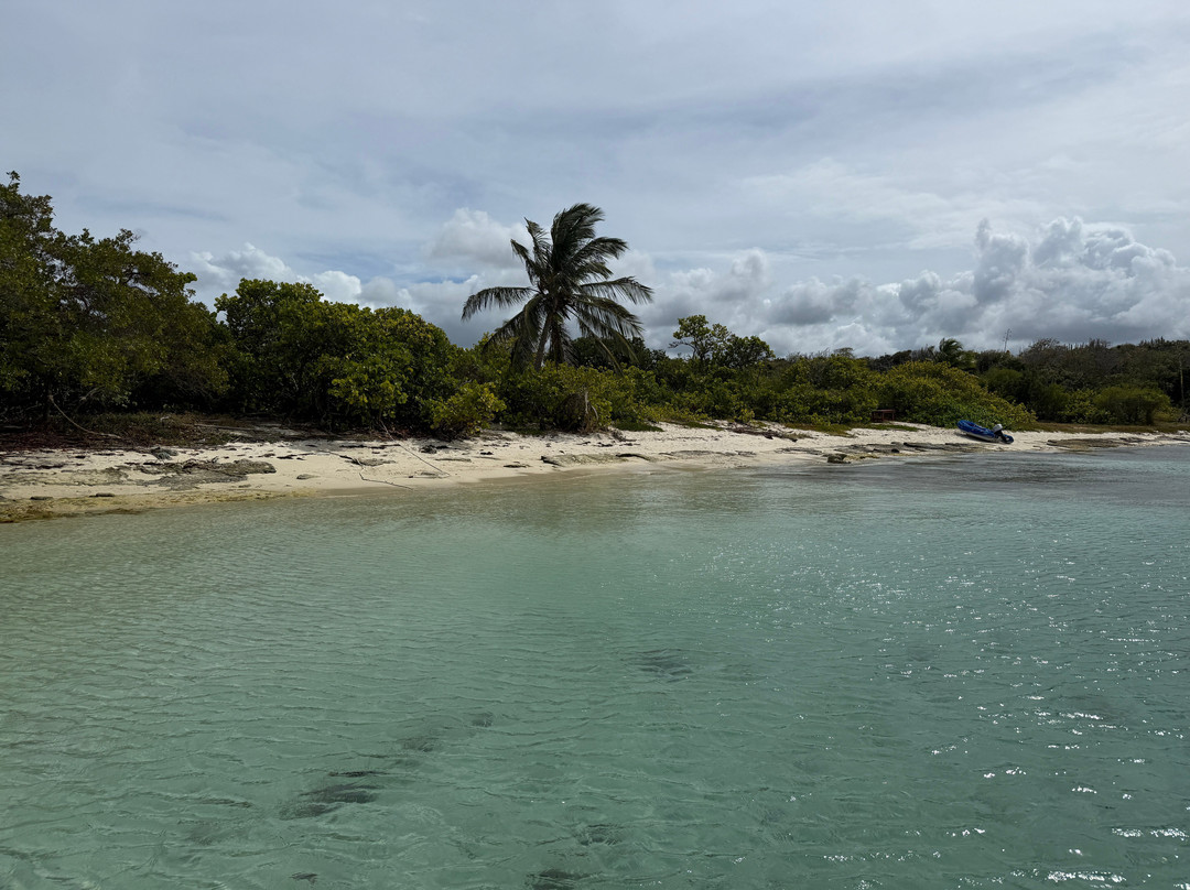 Antigua Rainforest Canopy Tour-安提瓜必去景点