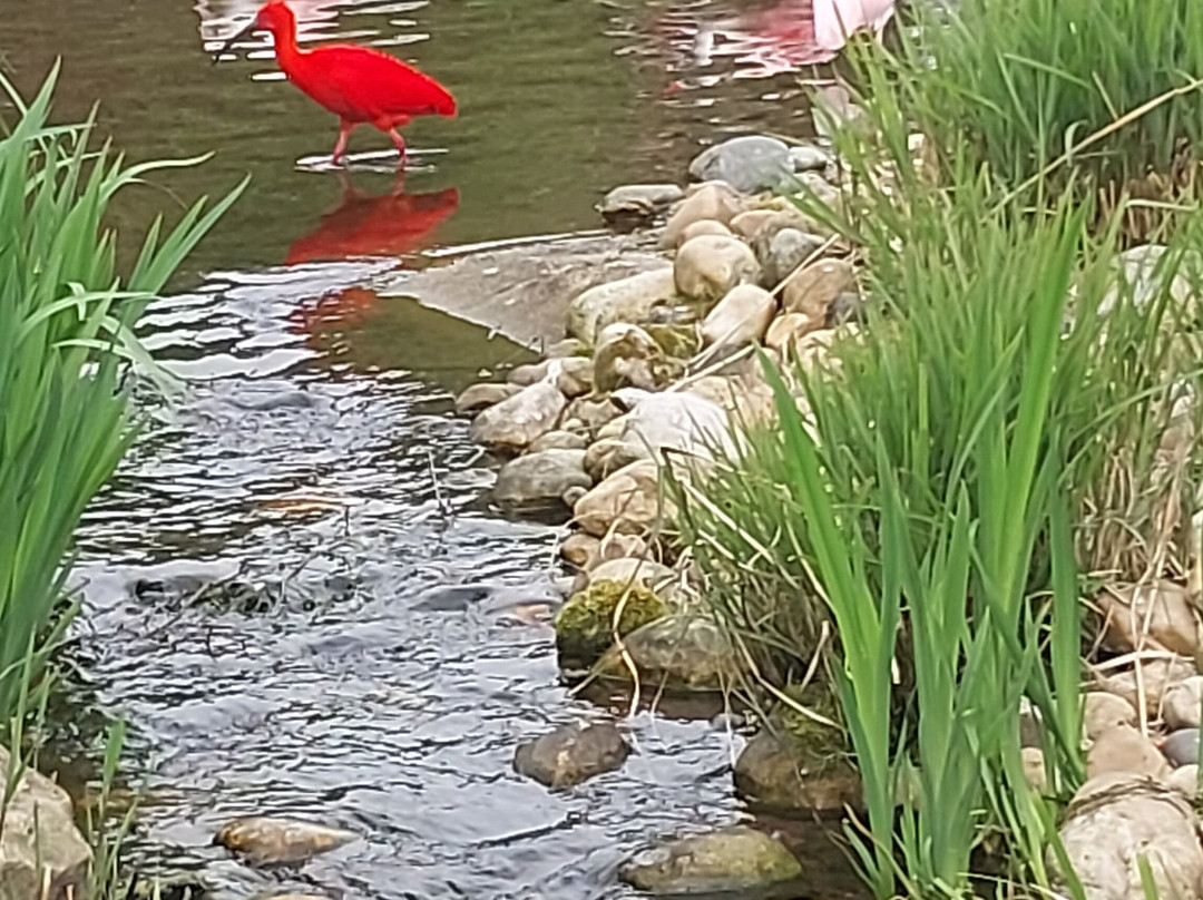 Le PAL-Saint-Pourcain-sur-Besbre必去景点