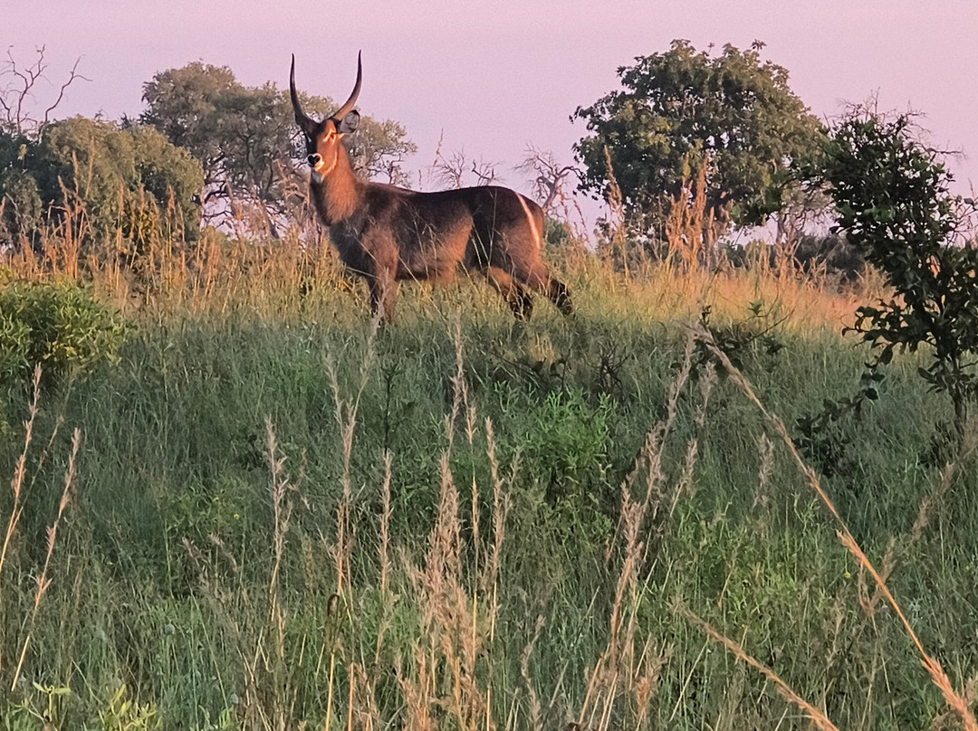 The African Wild-马翁必去景点