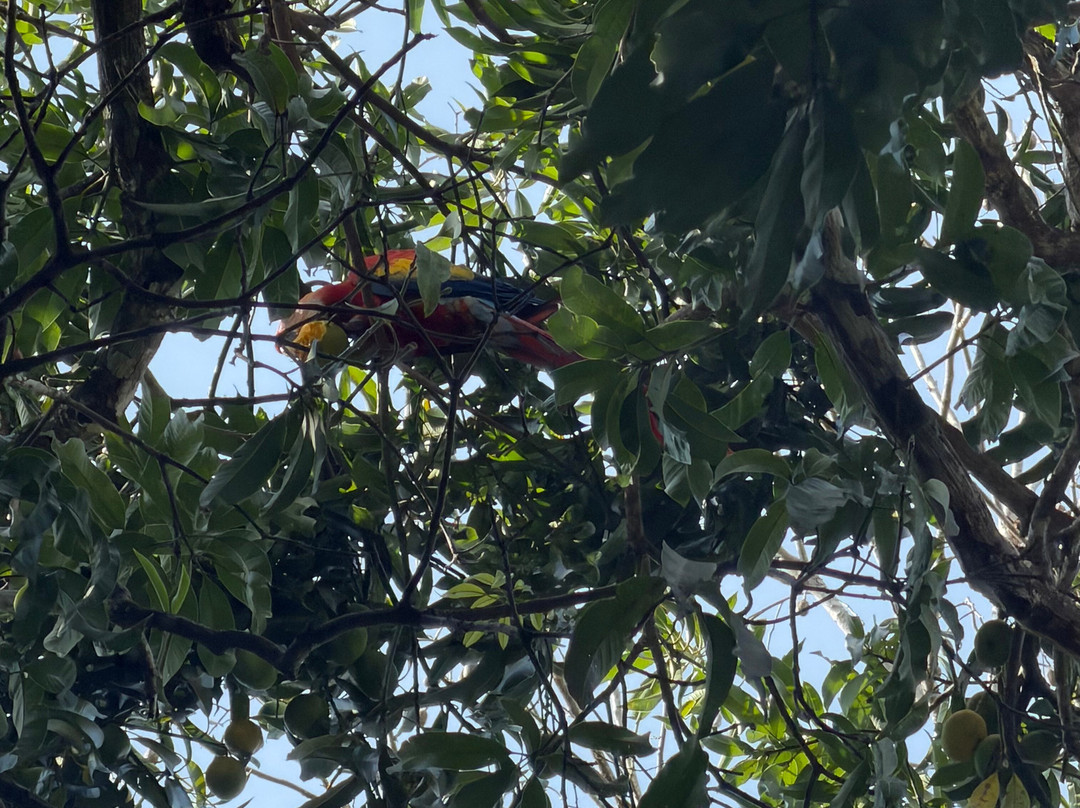 ILT Costa Rica-圣何塞必去景点