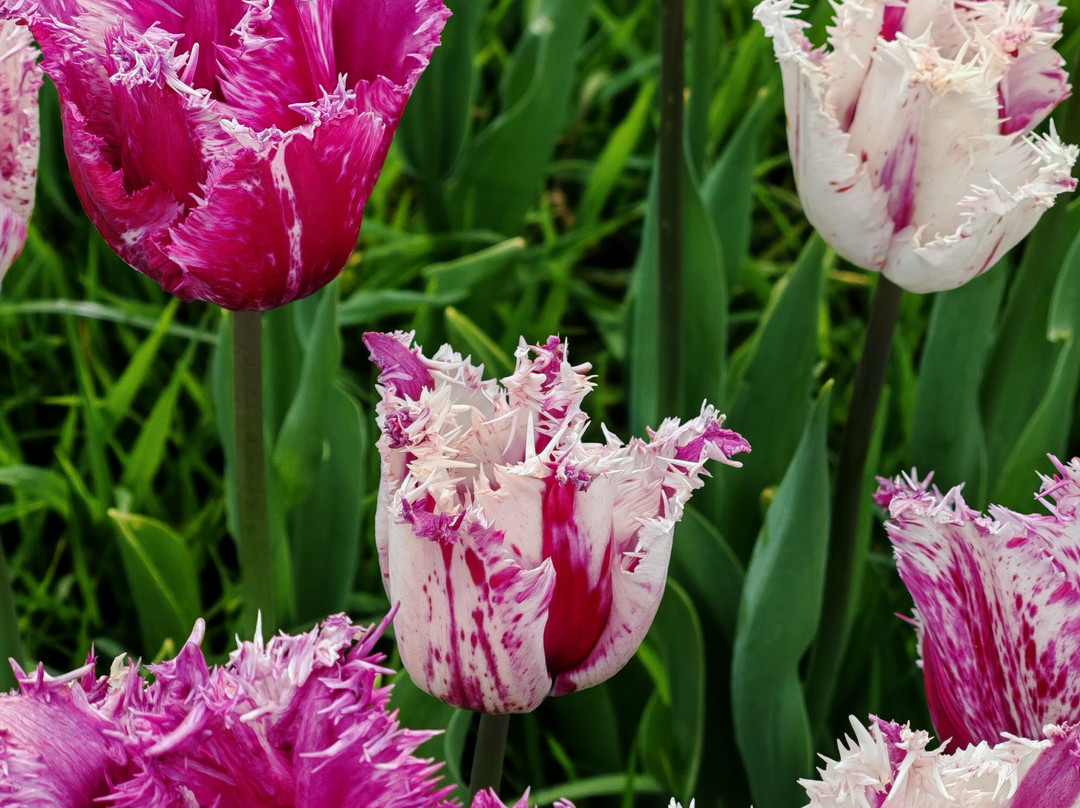 Darts Farm-Clyst Saint George必去景点