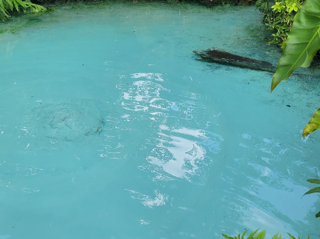 Jalapão Gaviões do Cerrado-Ponte Alta do Tocantins必去景点