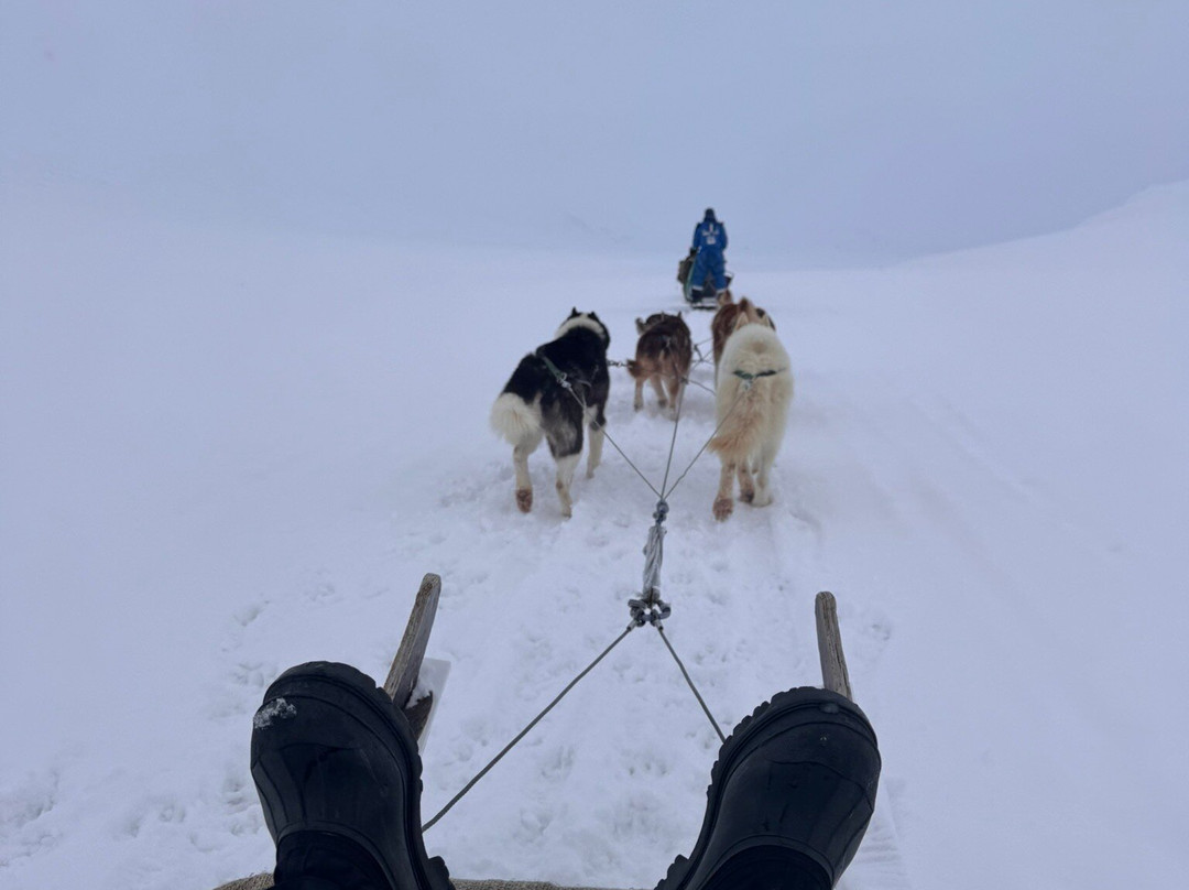 Green Dog Svalbard-朗伊尔城必去景点