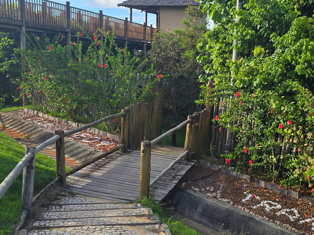 Club Med Trancoso主图