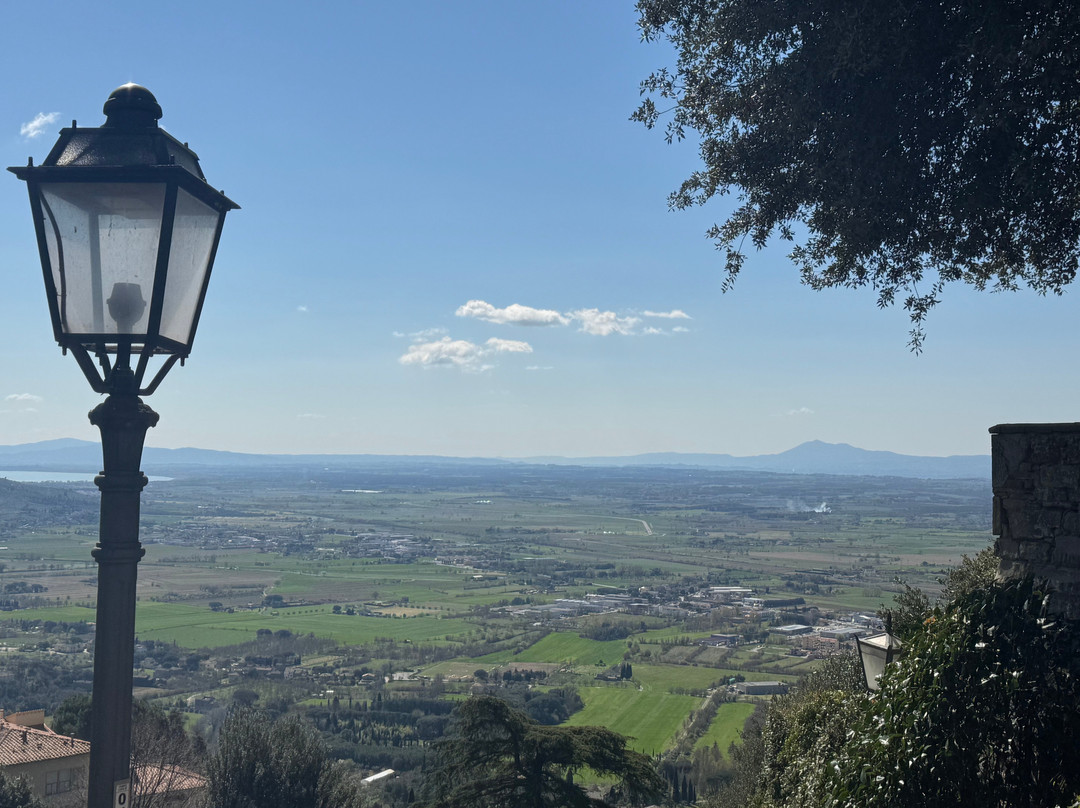 Hill Town Tours-科尔托纳必去景点