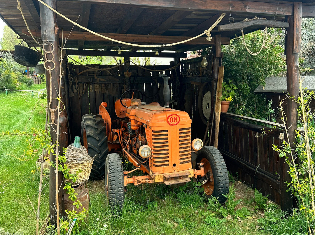 Fattoria Didattica Marilù-Veroli必去景点