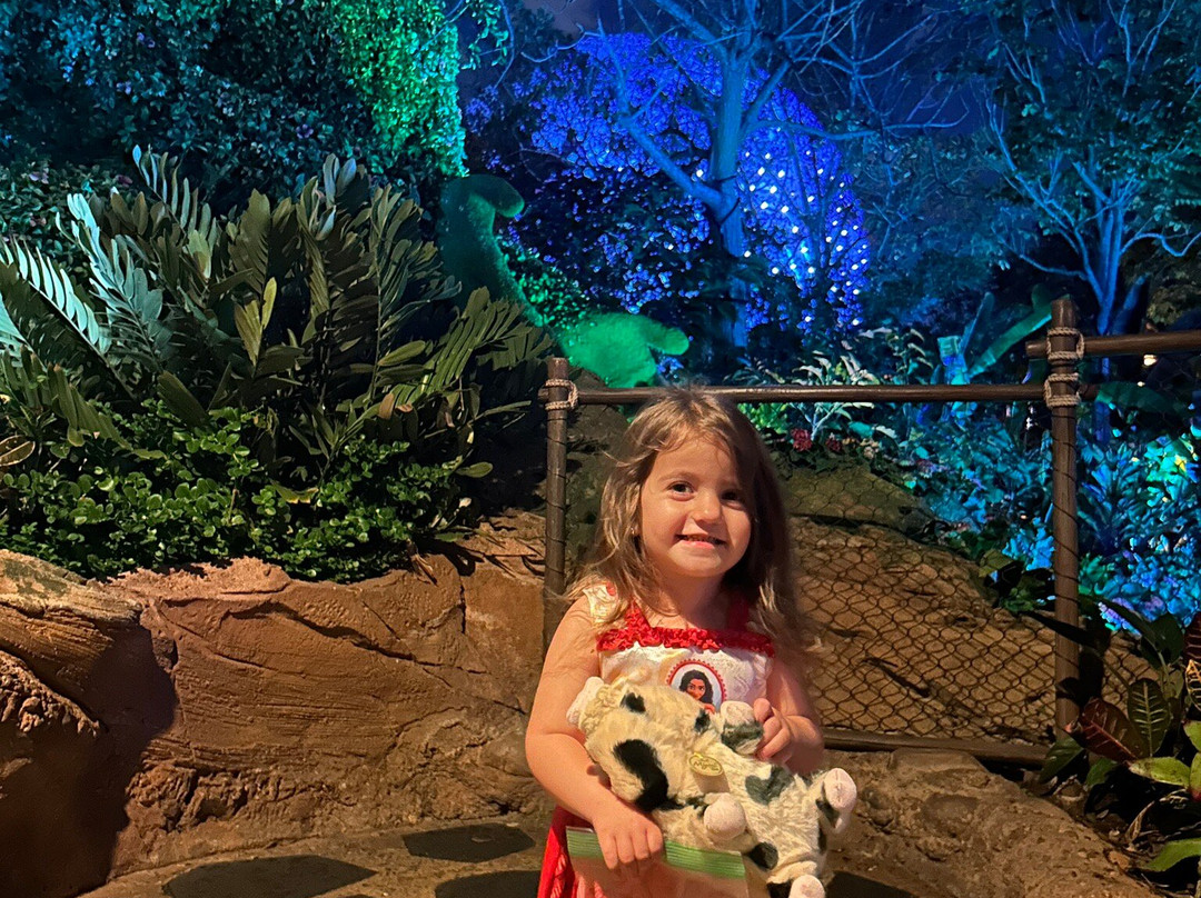 Journey Of Water, Inspired By Moana-Bay Lake必去景点